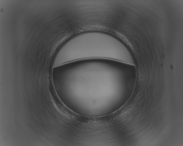 X0000074210538200608250740