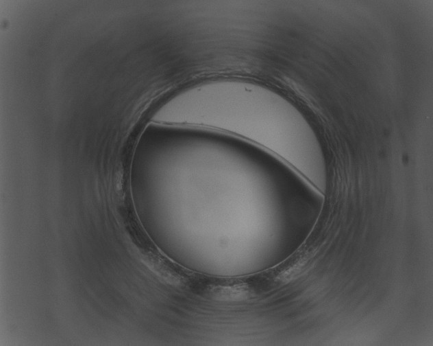 X0000074210548200608250741