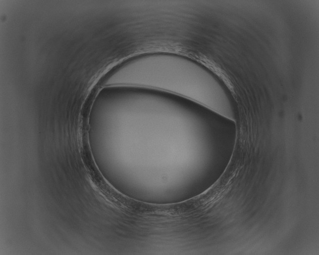 X0000074210580200608250740