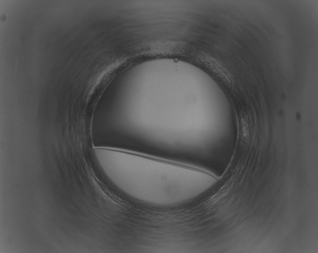 X0000074210588200608250740