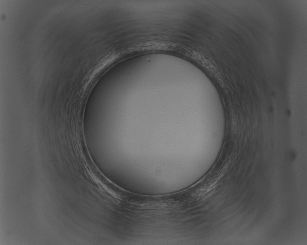 X0000074210625200608250739