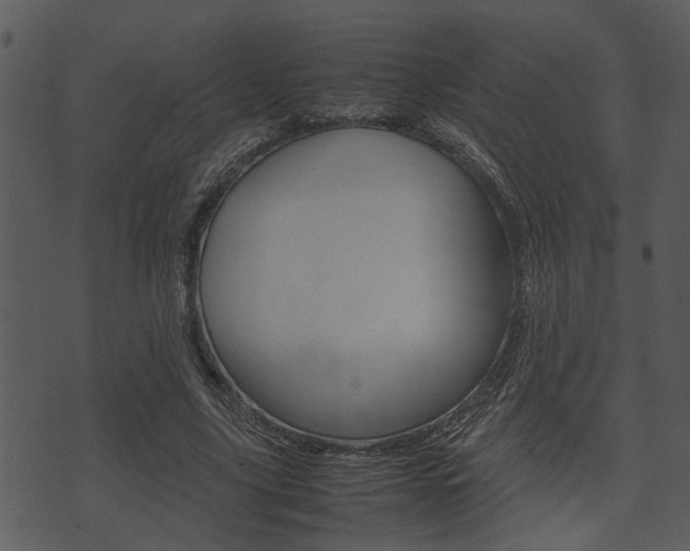 X0000074210635200608250739