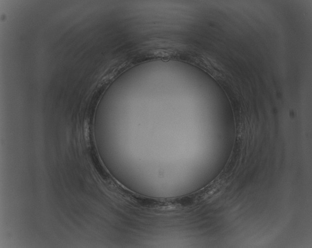 X0000074210646200608250739