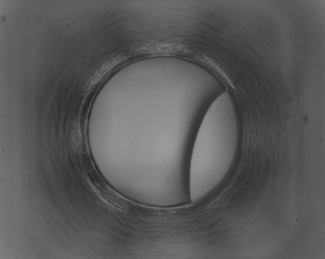 X0000074210674200608250739