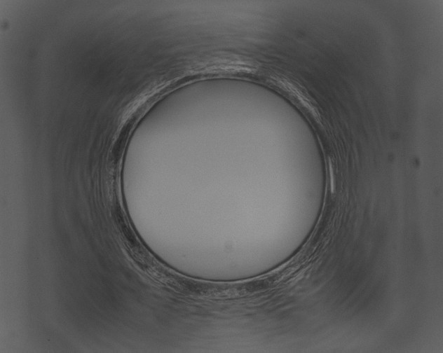 X0000074210675200608250739