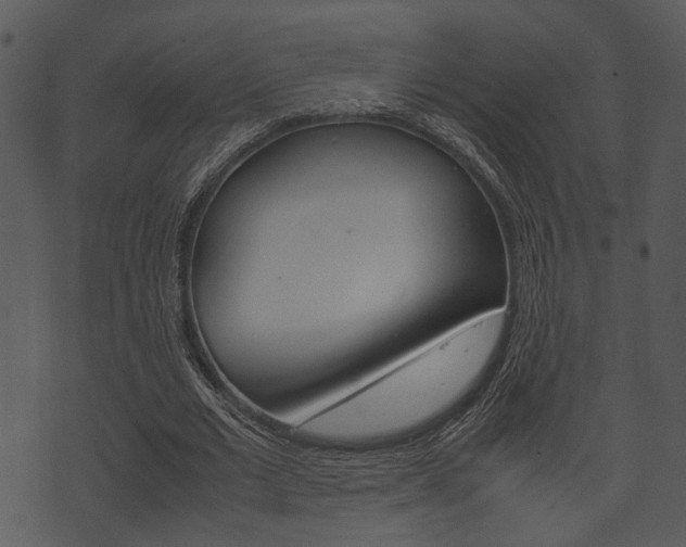 X0000074210677200608250739