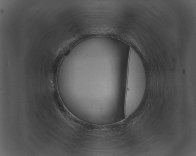 X0000074210688200608250738