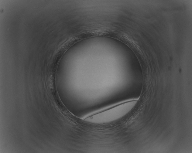 X0000074210689200608250738