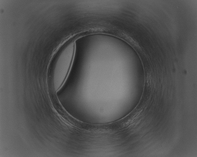 X0000074210722200608250737