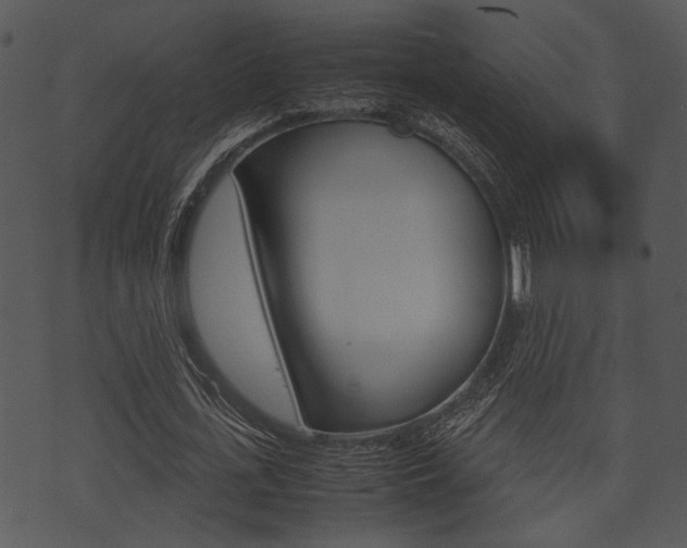 X0000074210723200608250737