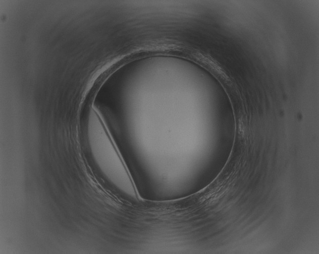 X0000074210724200608250737