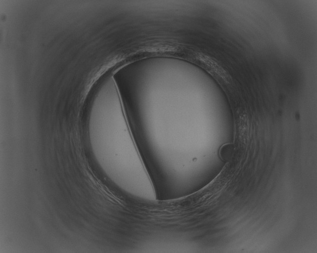 X0000074210727200608250737