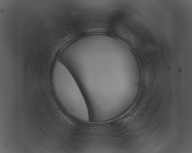X0000074210729200608250737