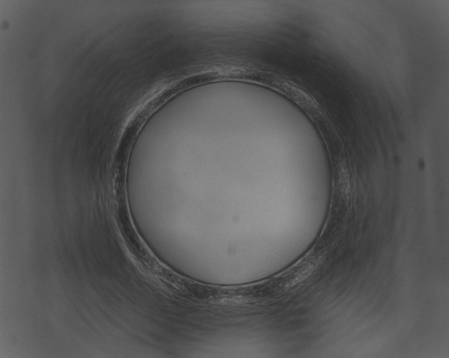 X0000074210730200608250737