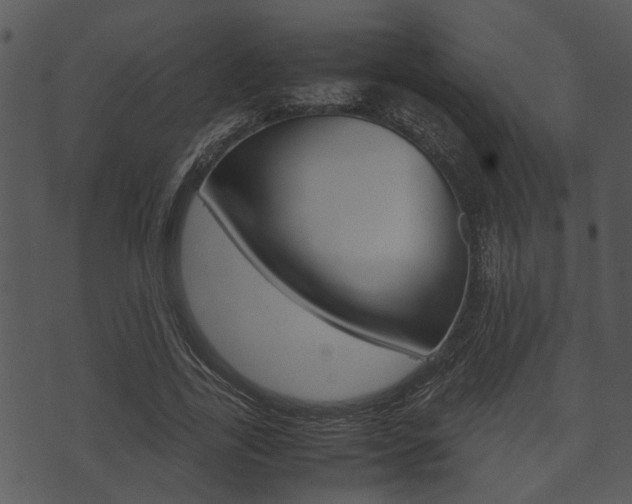 X0000074210731200608250737