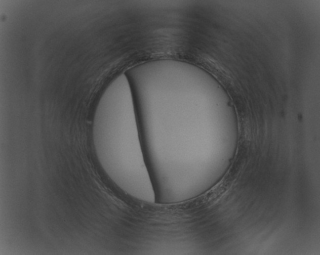 X0000074210737200608250737