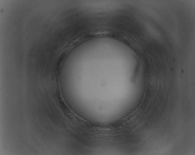 X0000074210743200608250737