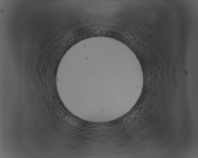 X0000074210769200608250737