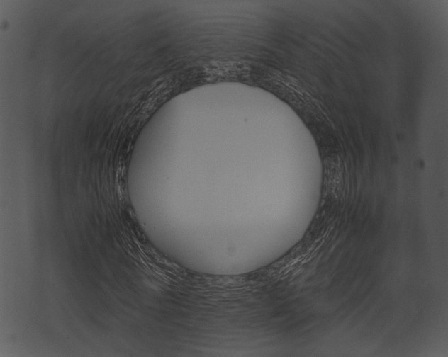 X0000074210770200608250737