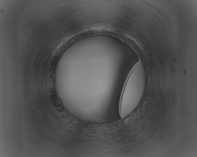 X0000074210776200608250737