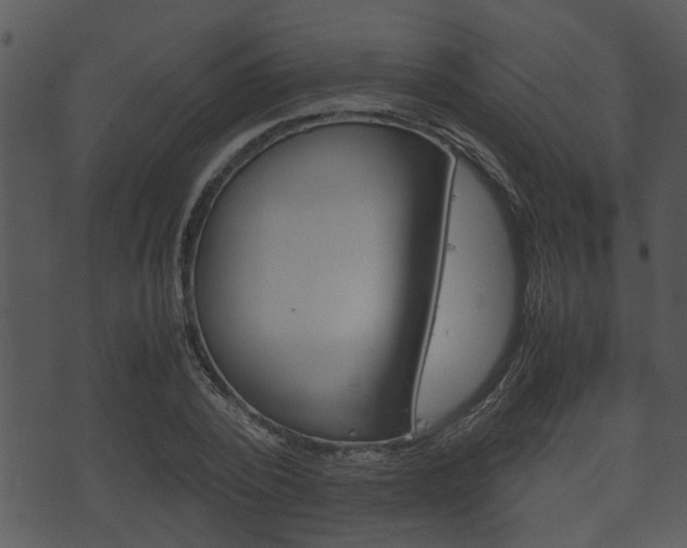 X0000074210784200608250737