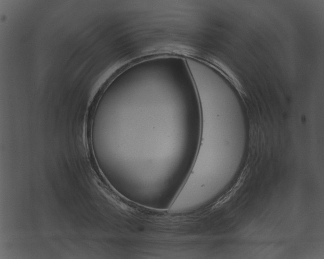 X0000074210788200608250737