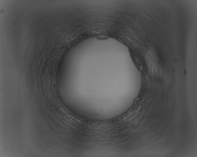 X0000074210817200608250735