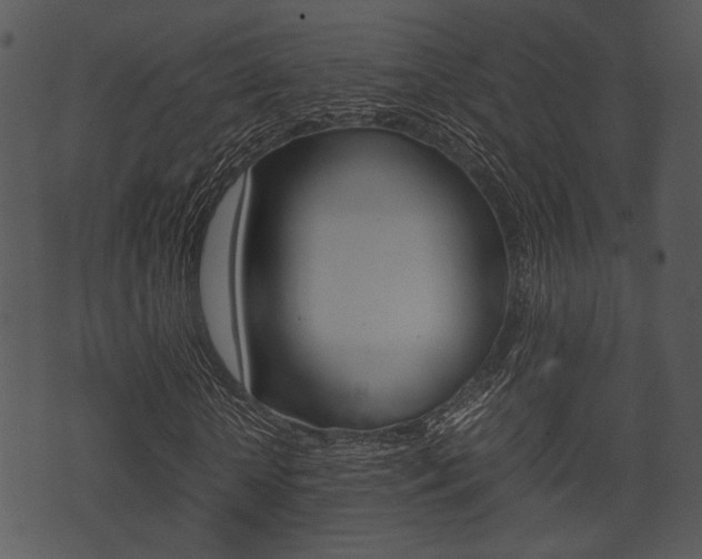 X0000074210818200608250735