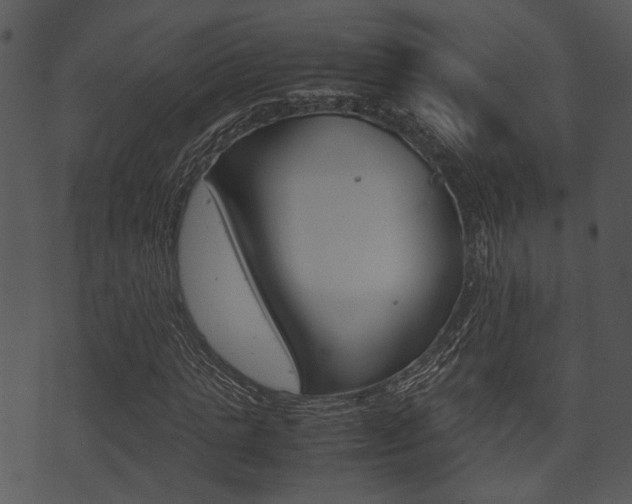 X0000074210821200608250736