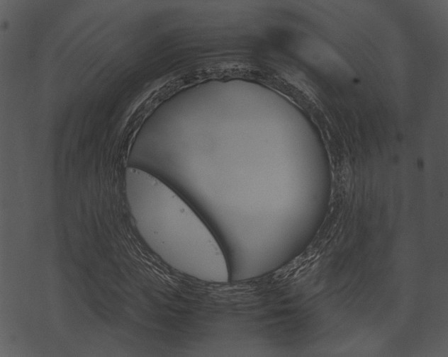 X0000074210823200608250736