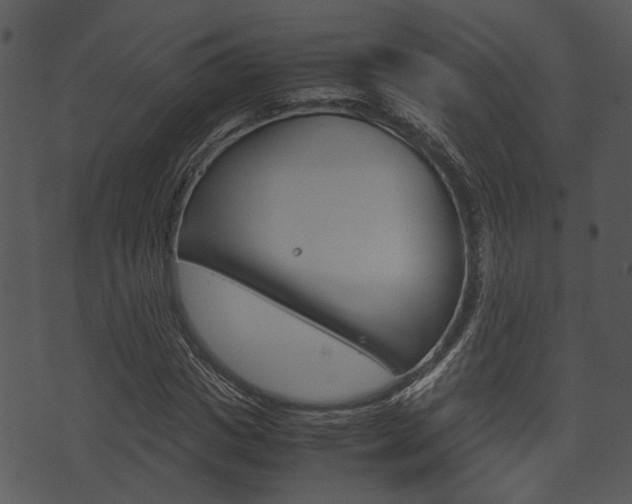 X0000074210825200608250736