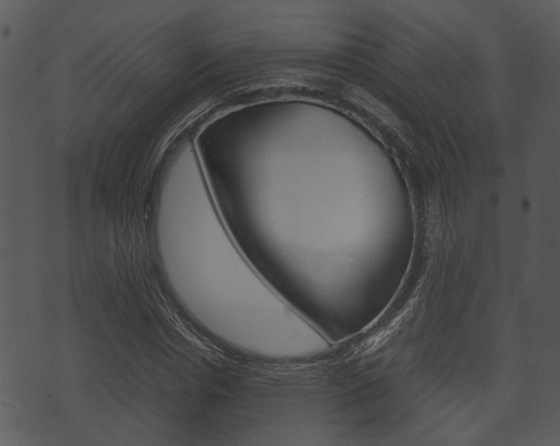 X0000074210826200608250736