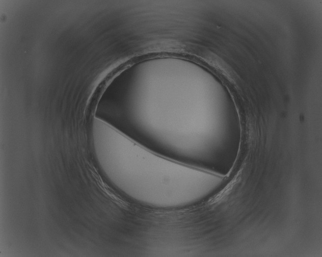 X0000074210830200608250736