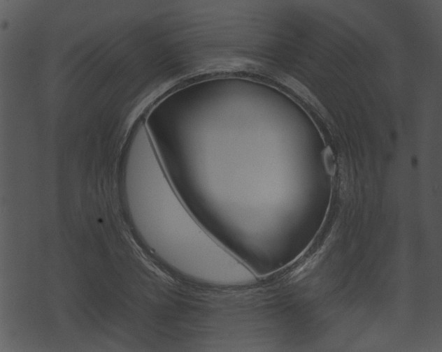 X0000074210834200608250736