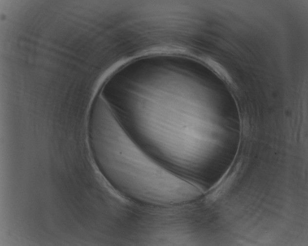 X0000074210854200608250736