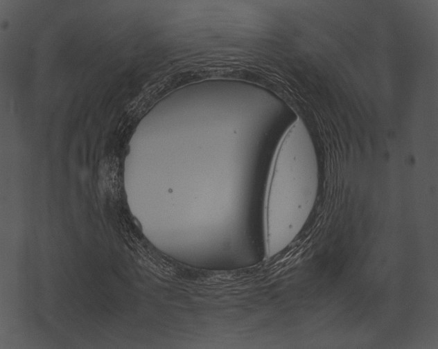 X0000074210867200608250735