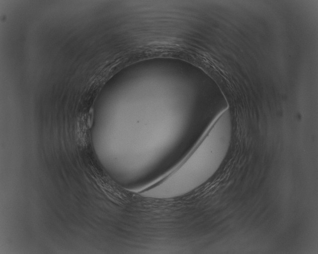 X0000074210868200608250735