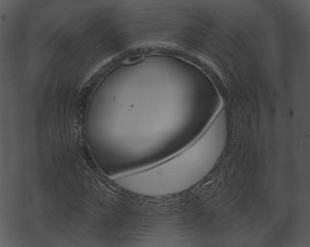 X0000074210872200608250735