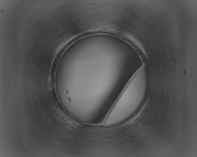 X0000074210876200608250735