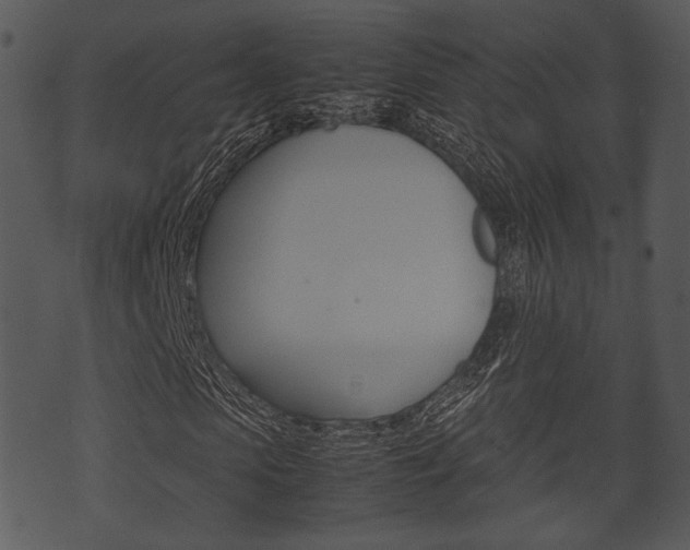 X0000074210913200608250734