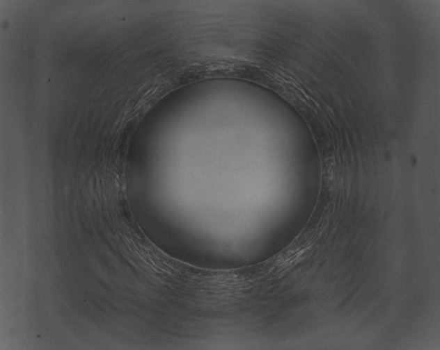 X0000074210916200608250734