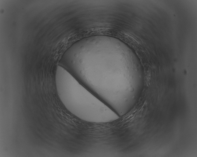 X0000074210917200608250734