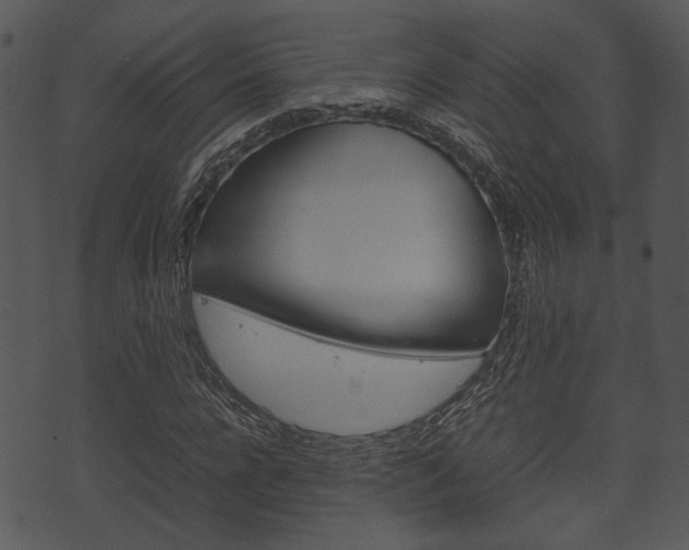 X0000074210920200608250734