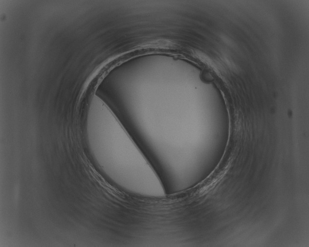 X0000074210923200608250734