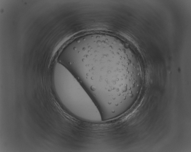 X0000074210925200608250734