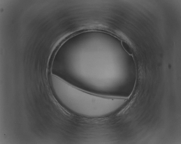 X0000074210932200608250734