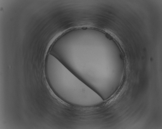 X0000074210941200608250734