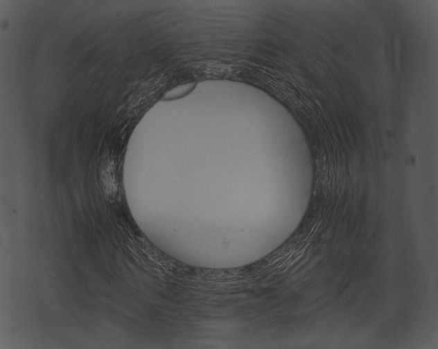 X0000074210962200608250734