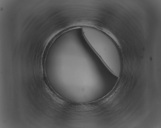 X0000074210980200608250734