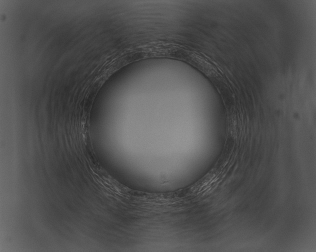 X0000074211010200608250732